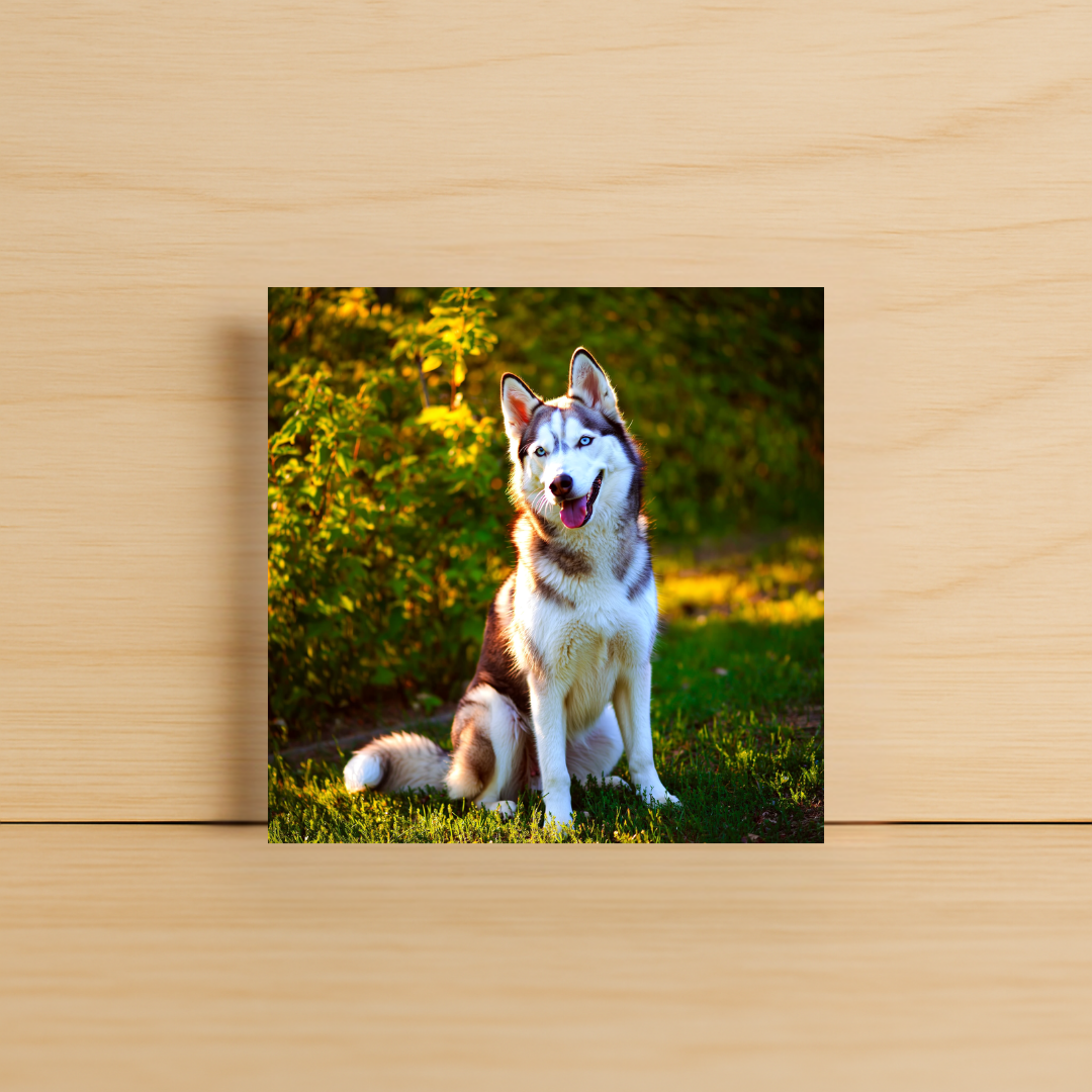 Free Custom Photo Magnet
